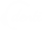 دنتیکال